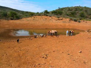 October Pokot