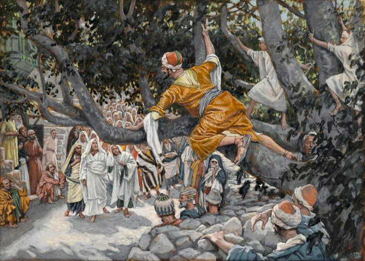 Zacchaeus in the Sycamore