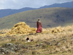 A woman in a field in Ethiopia