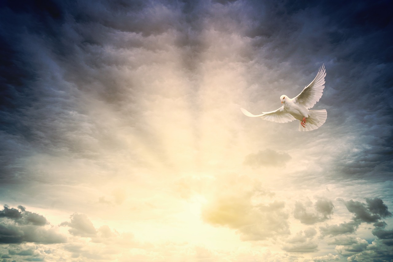 An image of the Holy Spirit in the form of a dove