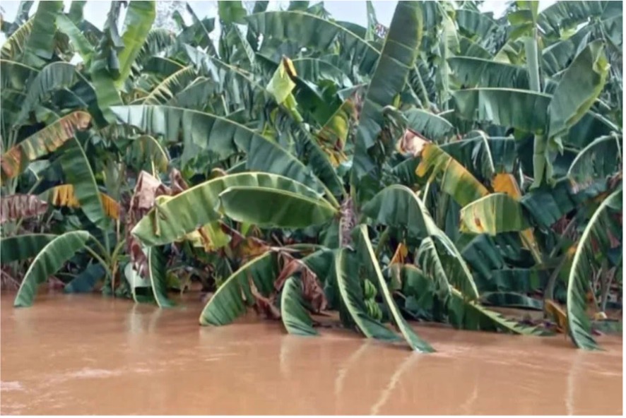 Floods in Kenya