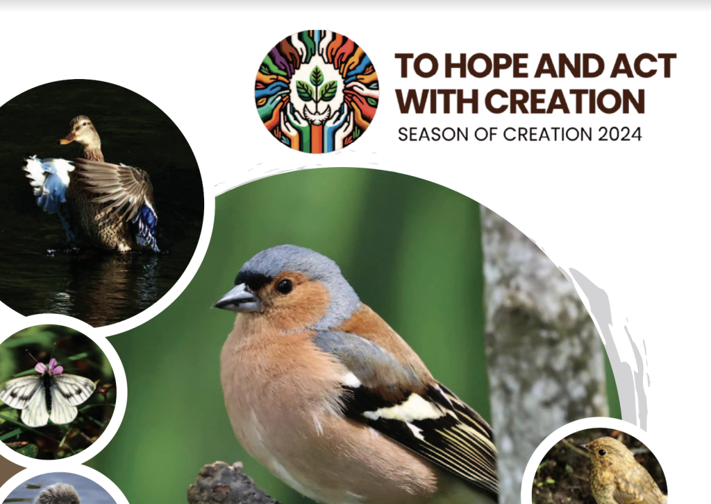 To Hope and Act with Creation