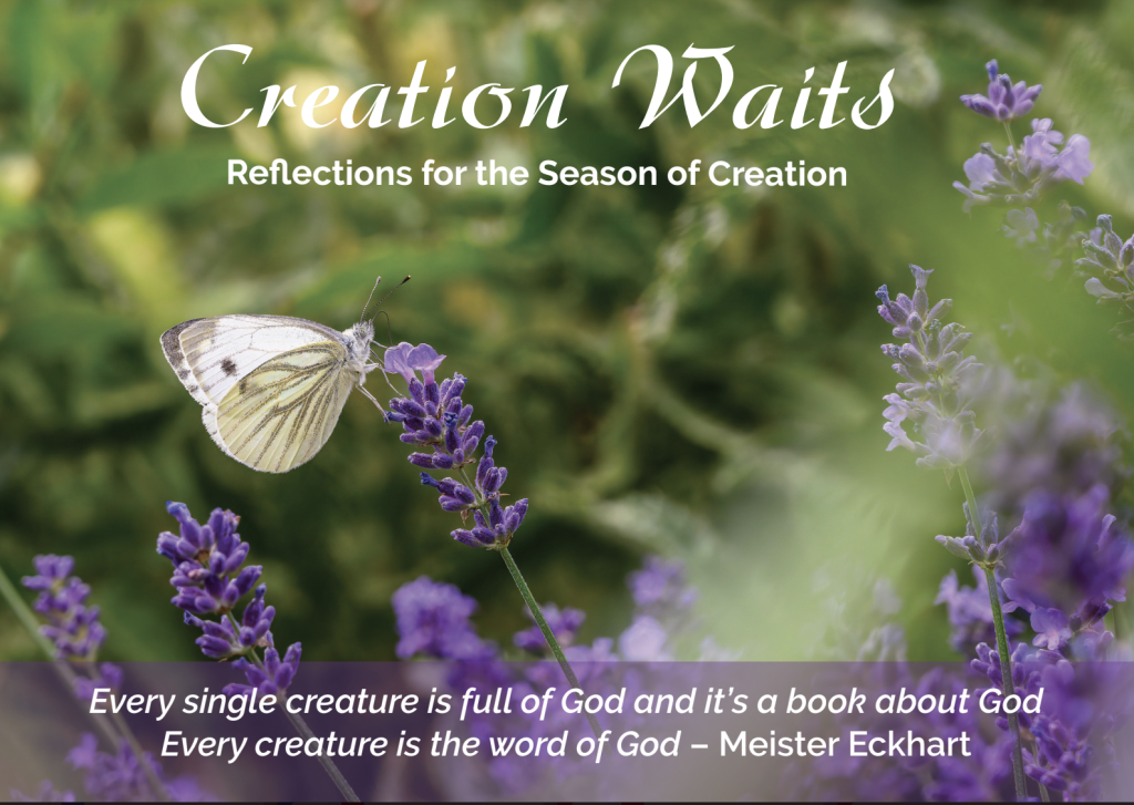 Creation Waits - reflections for the Seasons of Creation