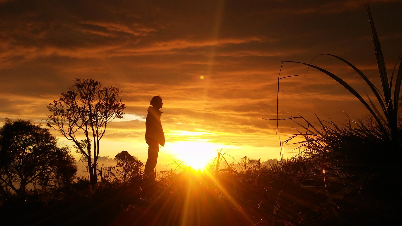 Silhouette set against the sun