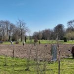 7,000 native Irish Trees planted in Ardbraccan