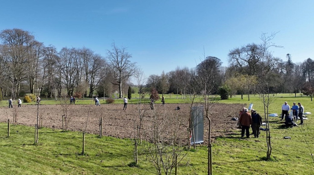 7,000 native Irish Trees planted in Ardbraccan
